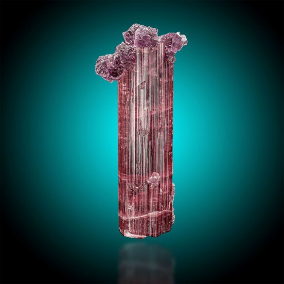 Elbaite-Tourmaline Queen Mine |  Pala | San Diego Co. | California | USA